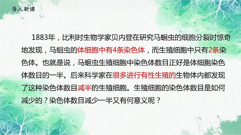 2022年新教材高中生物人教版（2019）必修二2.1 减数分裂和受精作用 课件第2页