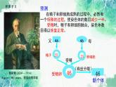 2022年新教材高中生物人教版（2019）必修二2.1 减数分裂和受精作用 课件