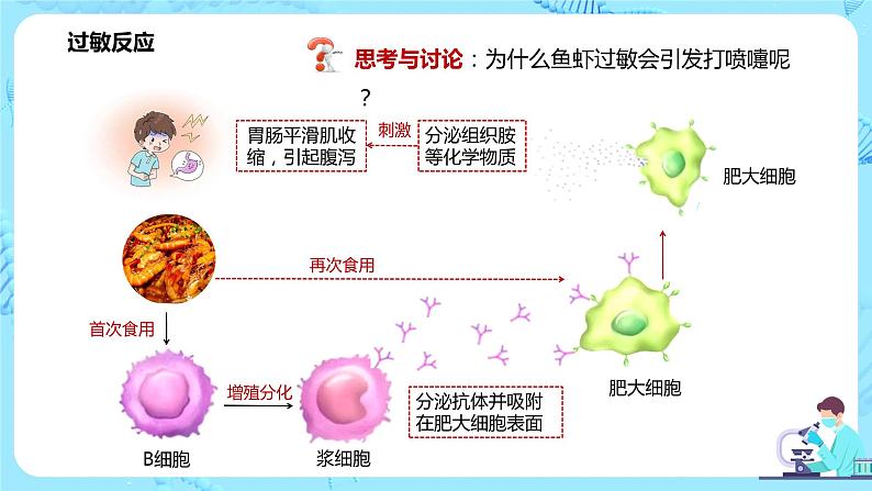 第三节《免疫失调》课件+教案05