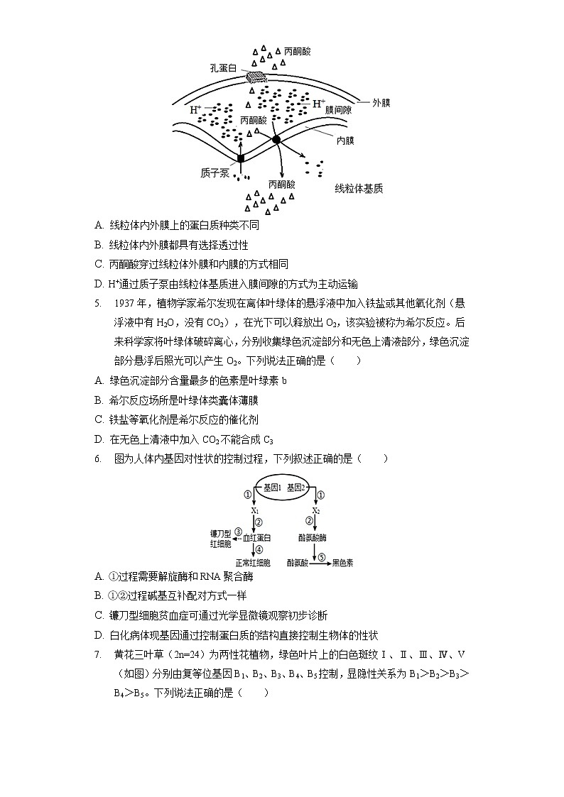 2022年广东省六校高考生物第六次联考试卷（含答案解析）第2页