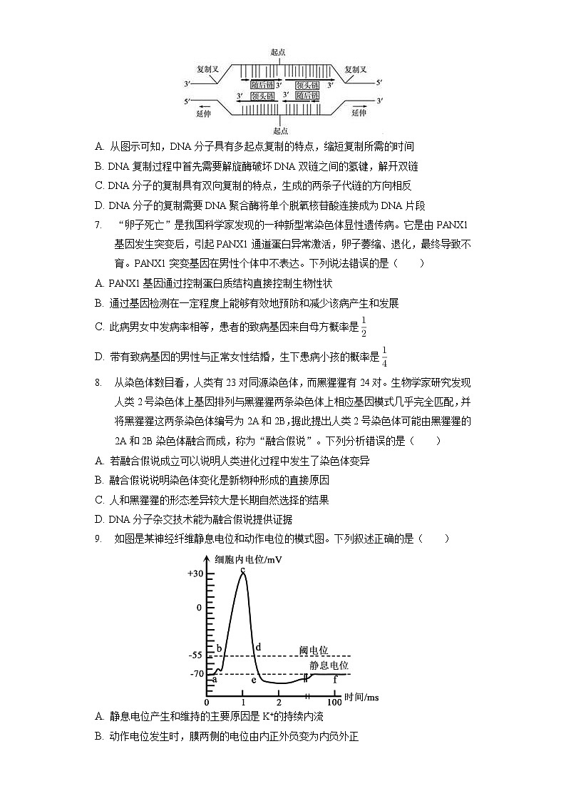 2022年江苏省扬州市高考生物三模试卷（含答案解析）02