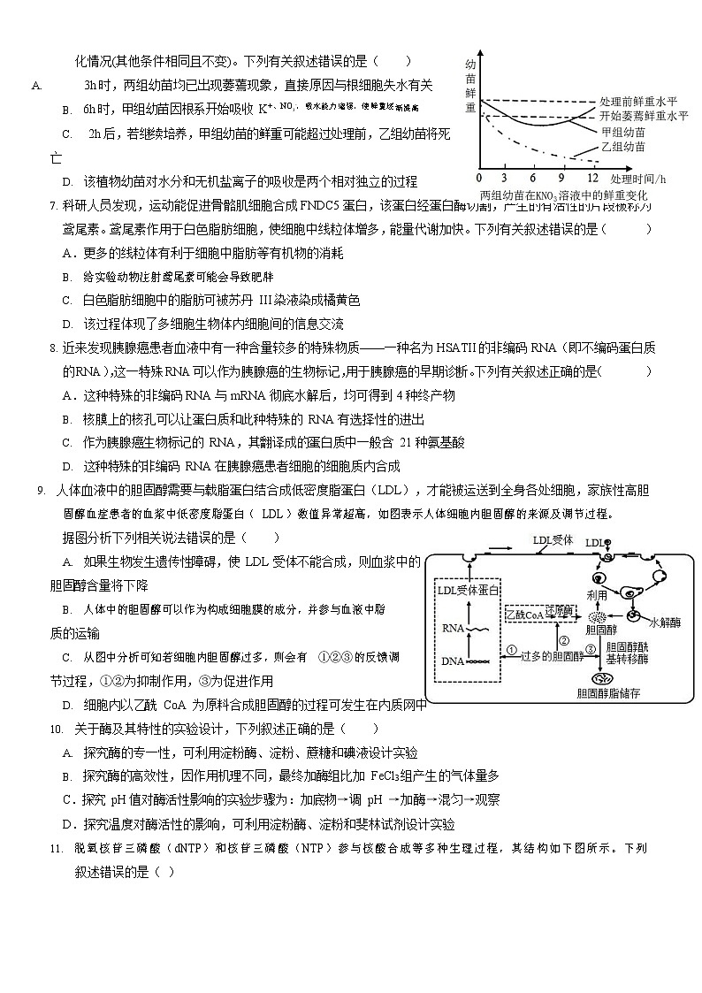 山东省济南市第一中学2021-2022学年高二下学期第四次学情检测（5月月考）生物试题含答案第2页