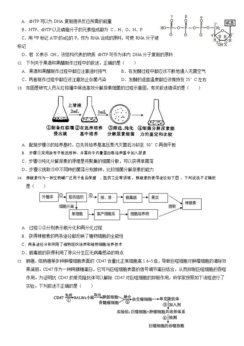 山东省济南市第一中学2021-2022学年高二下学期第四次学情检测（5月月考）生物试题含答案第3页
