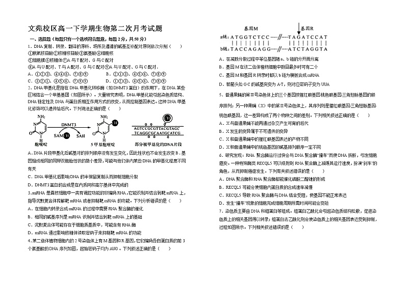 山东省菏泽市郓城县第一中学2021-2022学年高一下学期第二次月考生物试题含解析第1页