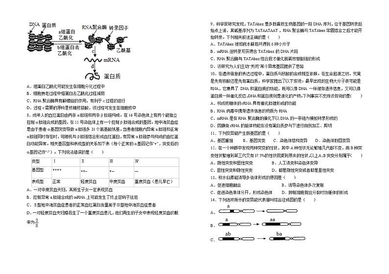 山东省菏泽市郓城县第一中学2021-2022学年高一下学期第二次月考生物试题含解析第2页