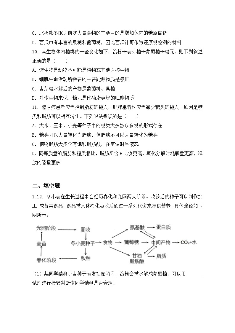 2.3《细胞中的糖类和脂质》课件+教案+练习03