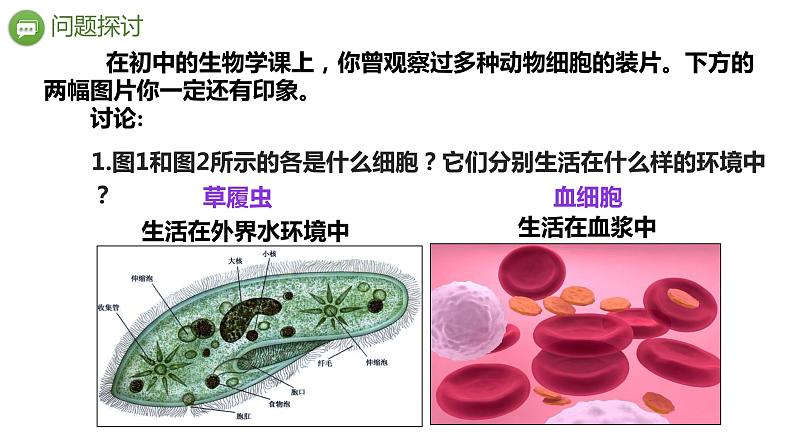 1.1细胞生活的环境课件2021-2022学年高二上学期生物人教版选择性必修1第2页