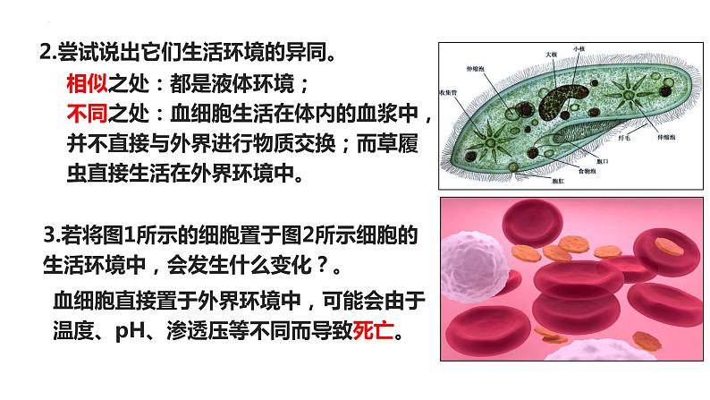 1.1细胞生活的环境课件2021-2022学年高二上学期生物人教版选择性必修1第3页