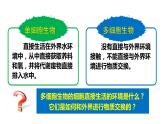 1.1细胞生活的环境课件2021-2022学年高二上学期生物人教版选择性必修1