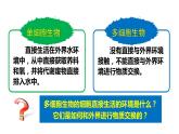 1.1细胞生活的环境课件2021-2022学年高二上学期生物人教版选择性必修1