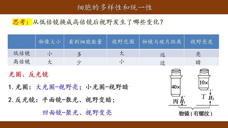 1.2细胞的多样性和统一性课件-2021-2022学年高一上学期生物人教版（2019）必修1第5页