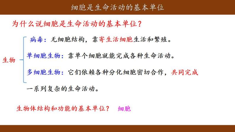 1.1细胞是生命活动的基本单位课件-2021-2022学年高一上学期生物人教版（2019）必修102