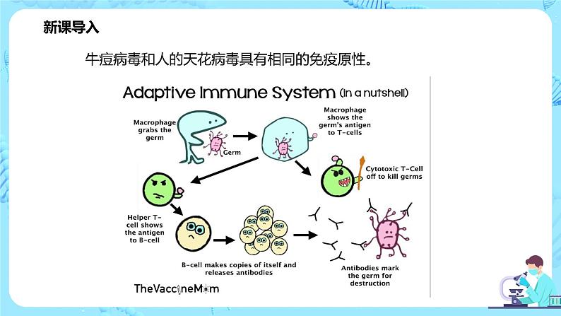 第四节《免疫学的应用》课件第5页