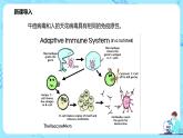 第四节《免疫学的应用》课件+教案