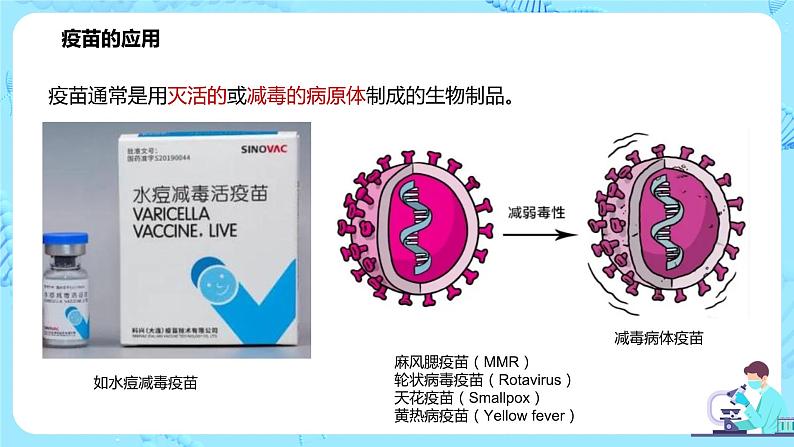 第四节《免疫学的应用》课件第7页