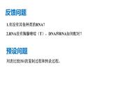 高中生物人教版，必修二，4.1 基因指导蛋白质的合成课件