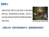 高中生物人教版，必修二，4.1 基因指导蛋白质的合成课件