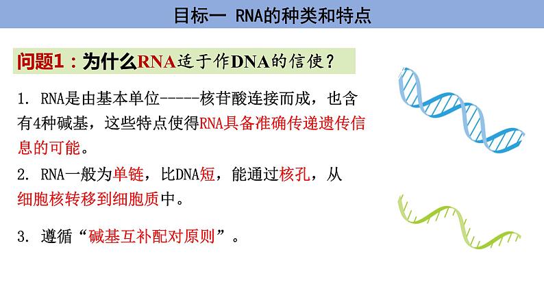 高中生物人教版，必修二，4.1 基因指导蛋白质的合成课件第8页