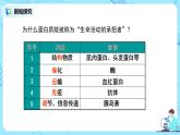 2.4.1《蛋白质是生命活动的主要承担者》（1）课件+教案+练习