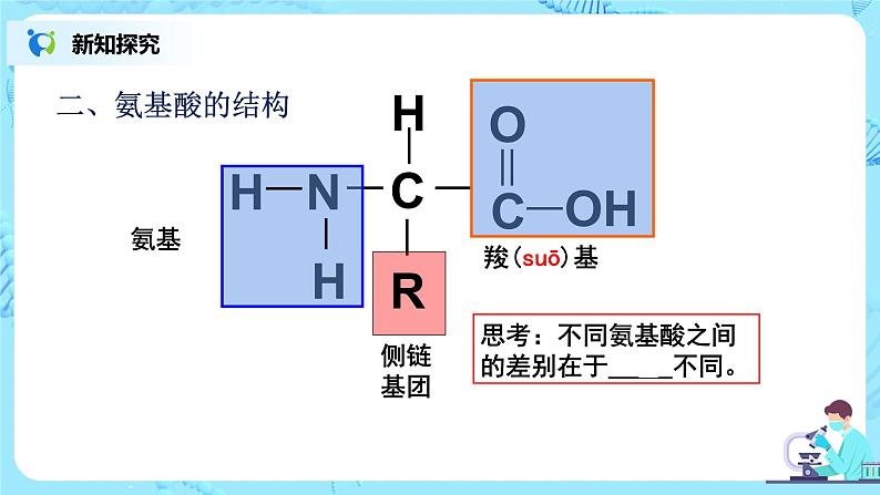 2.4.1《蛋白质是生命活动的主要承担者》（1）课件+教案+练习07