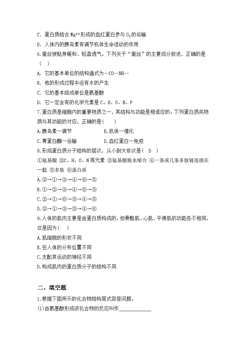 2.4.1《蛋白质是生命活动的主要承担者》练习第2页