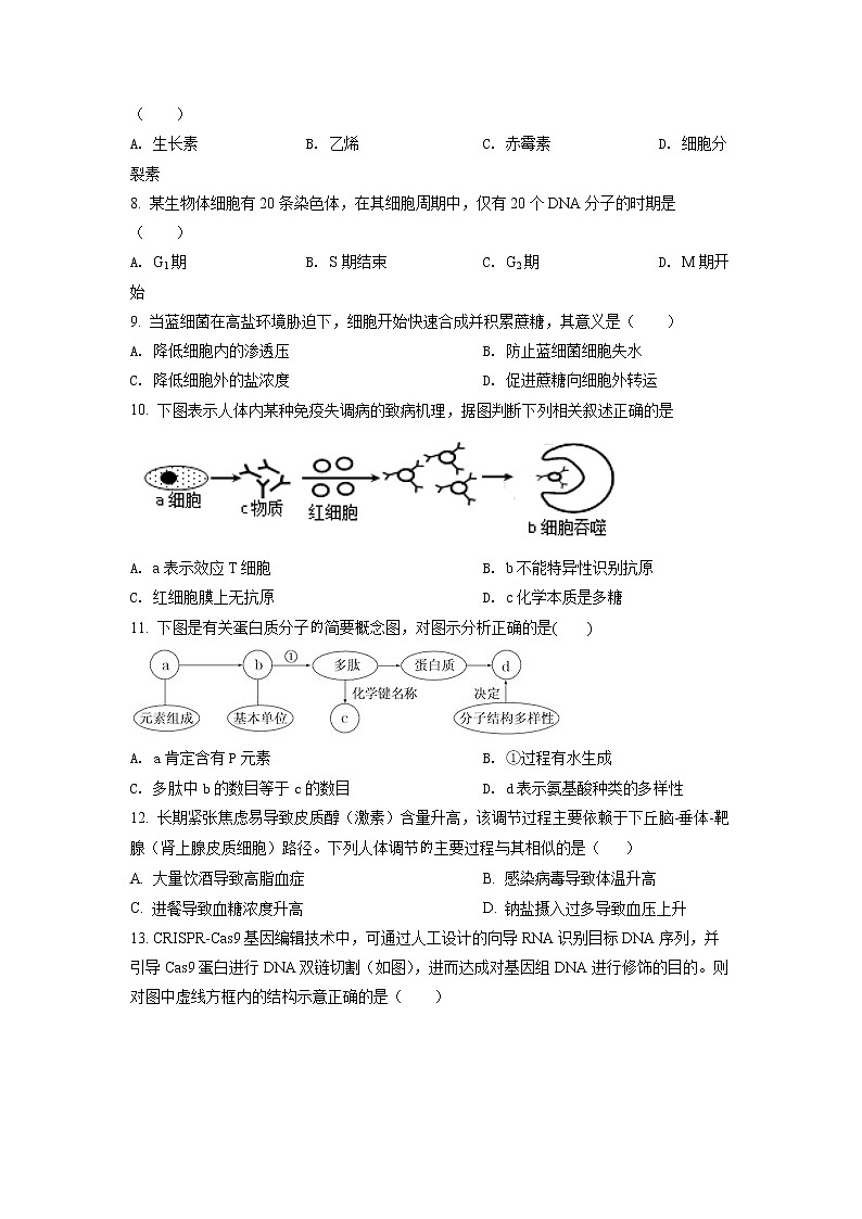 2022年上海市黄浦区高三(二)下二模等级考生物试卷（含详解）02