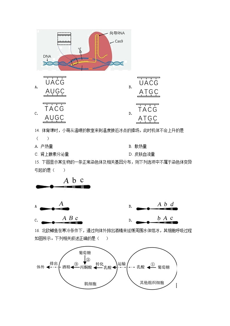 2022年上海市黄浦区高三(二)下二模等级考生物试卷（含详解）03