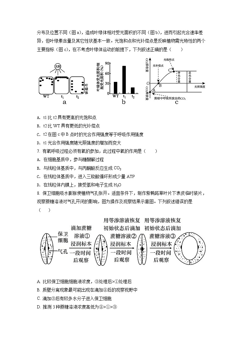 2022年上海市普陀区高三(二)下二模等级考生物试卷（含详解）02