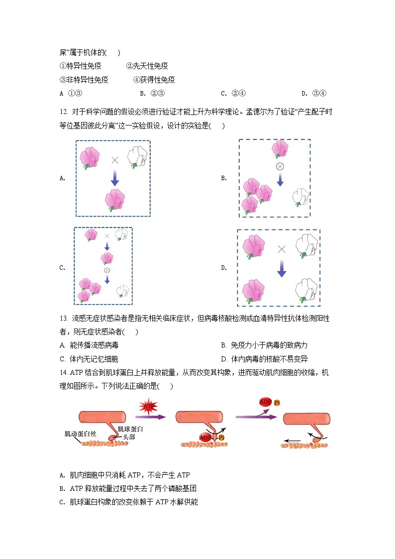 2022年上海市浦东新区高三(二)下二模等级考生物试卷（含详解）03