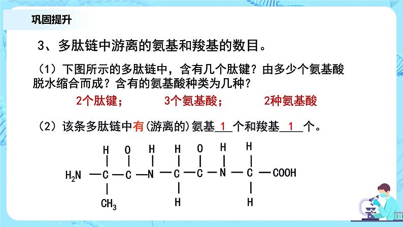 2.4.2《蛋白质是生命活动的主要承担者》相关计算教案+课件+练习06