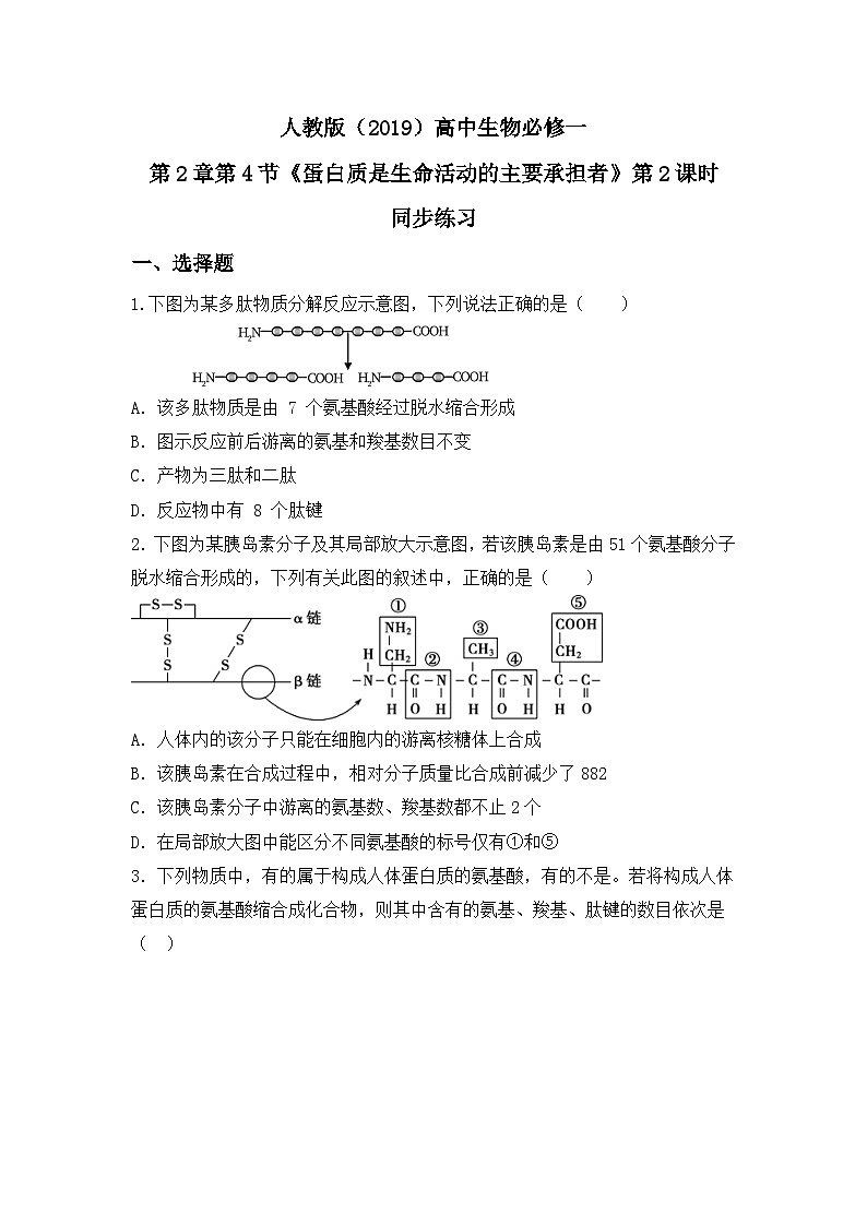 2.4.2《蛋白质是生命活动的主要承担者》相关计算教案+课件+练习01