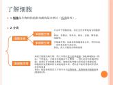 第1章走近细胞 第1节细胞是生命活动的基本单位 2019版人教版PPT