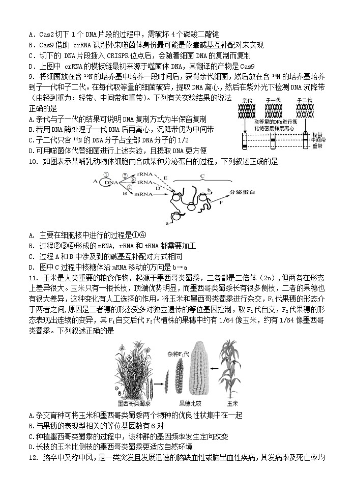 2022湖北省华中师范大学第一附中高三高考考前测试卷生物试题（含详解）第3页