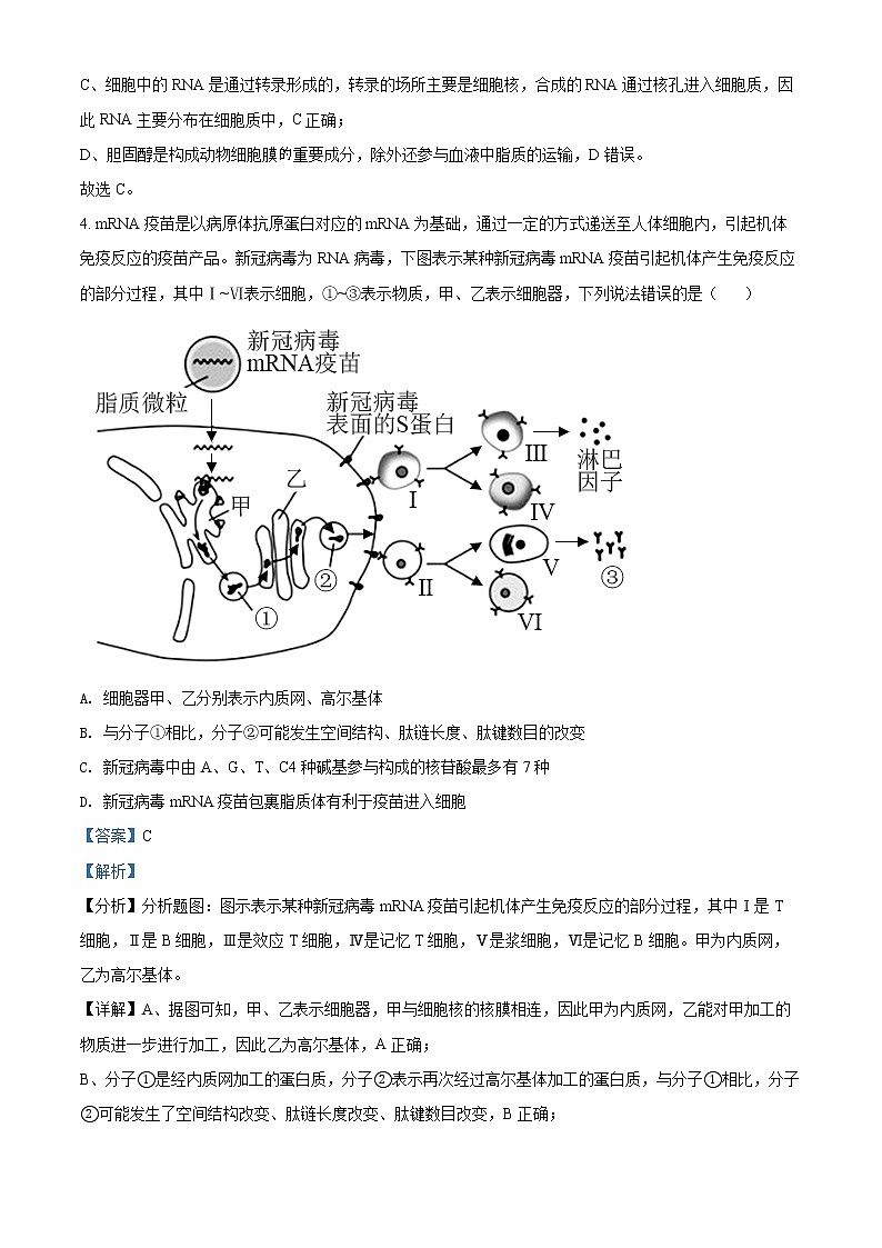 2022德州一中高二下学期6月月考生物试题含解析03