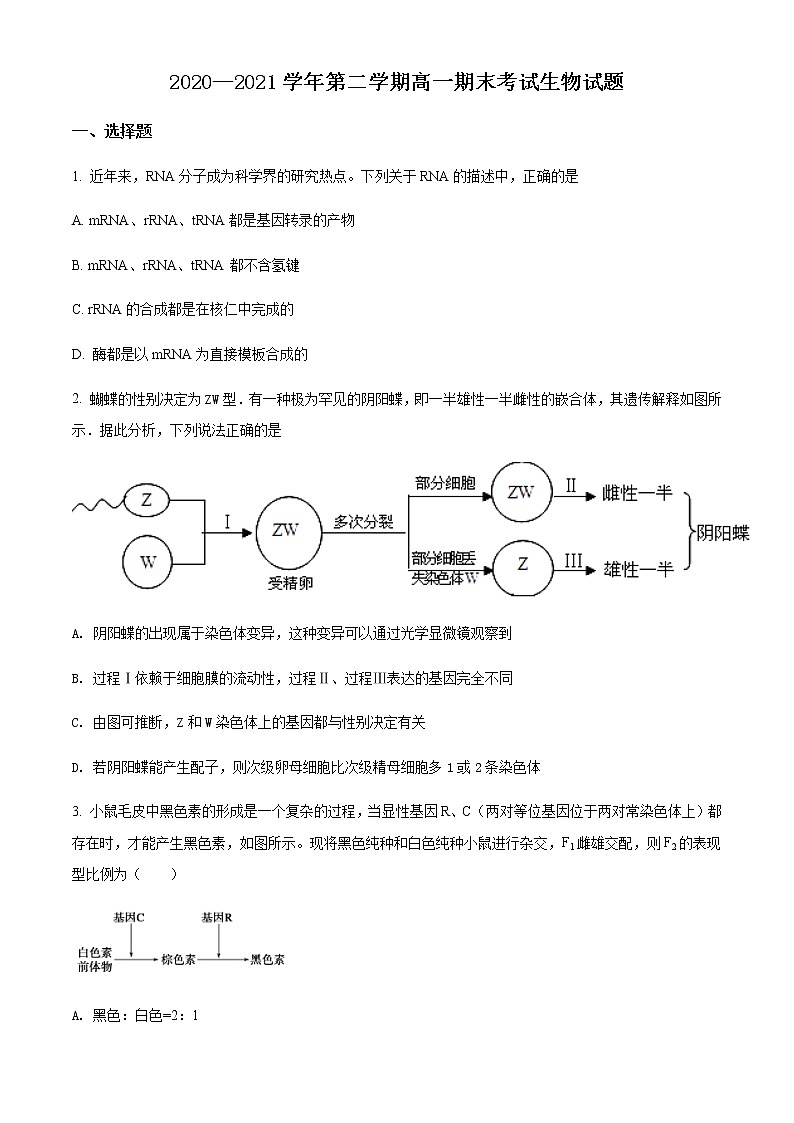 山西省长治第二中学2020-2021学年高一下学期期末考试生物试题第1页