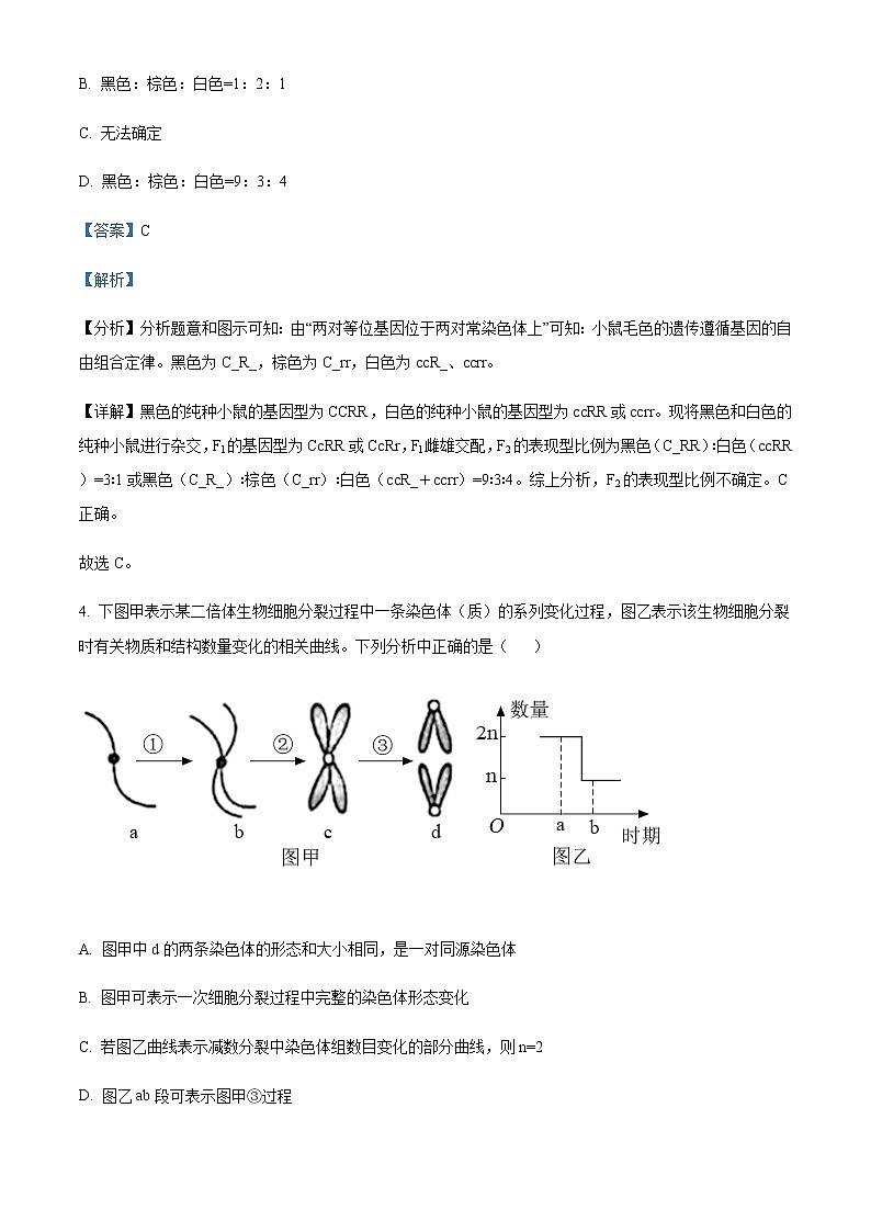 山西省长治第二中学2020-2021学年高一下学期期末考试生物试题含解析第3页