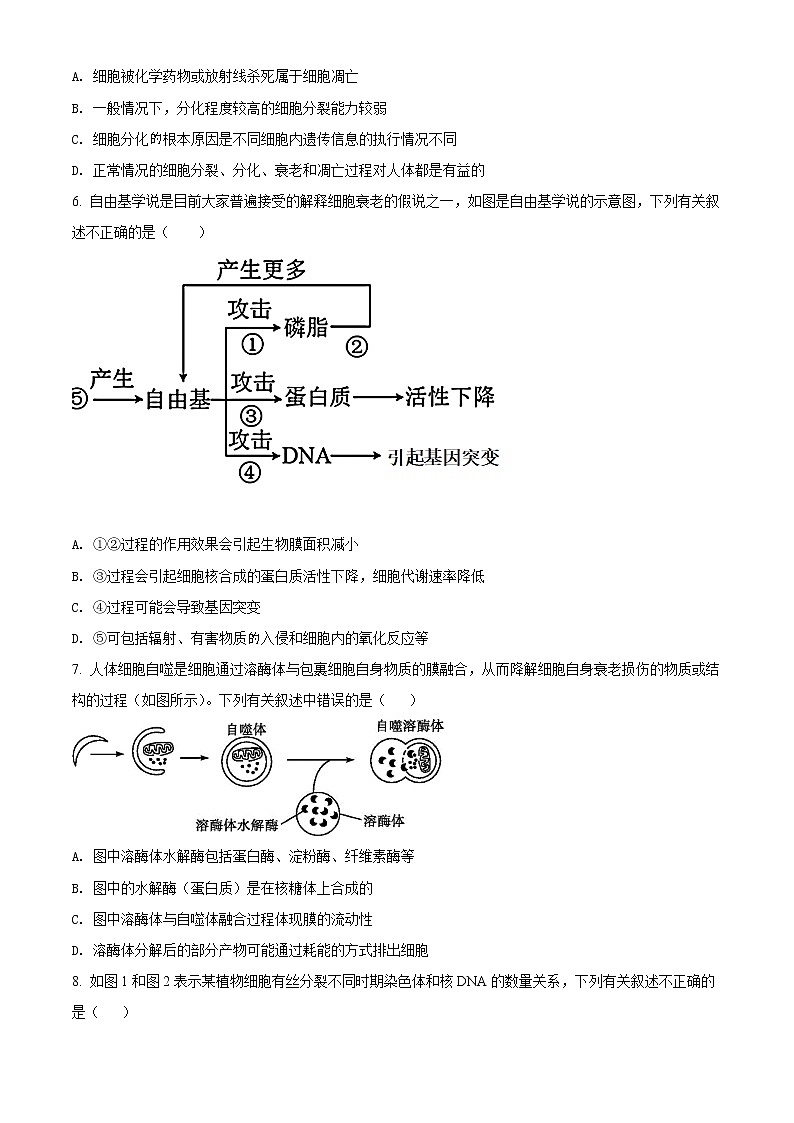 吉林省长春市十一高中2021-2022学年高一下学期第一学程考试生物（B）试题（原卷版）第2页