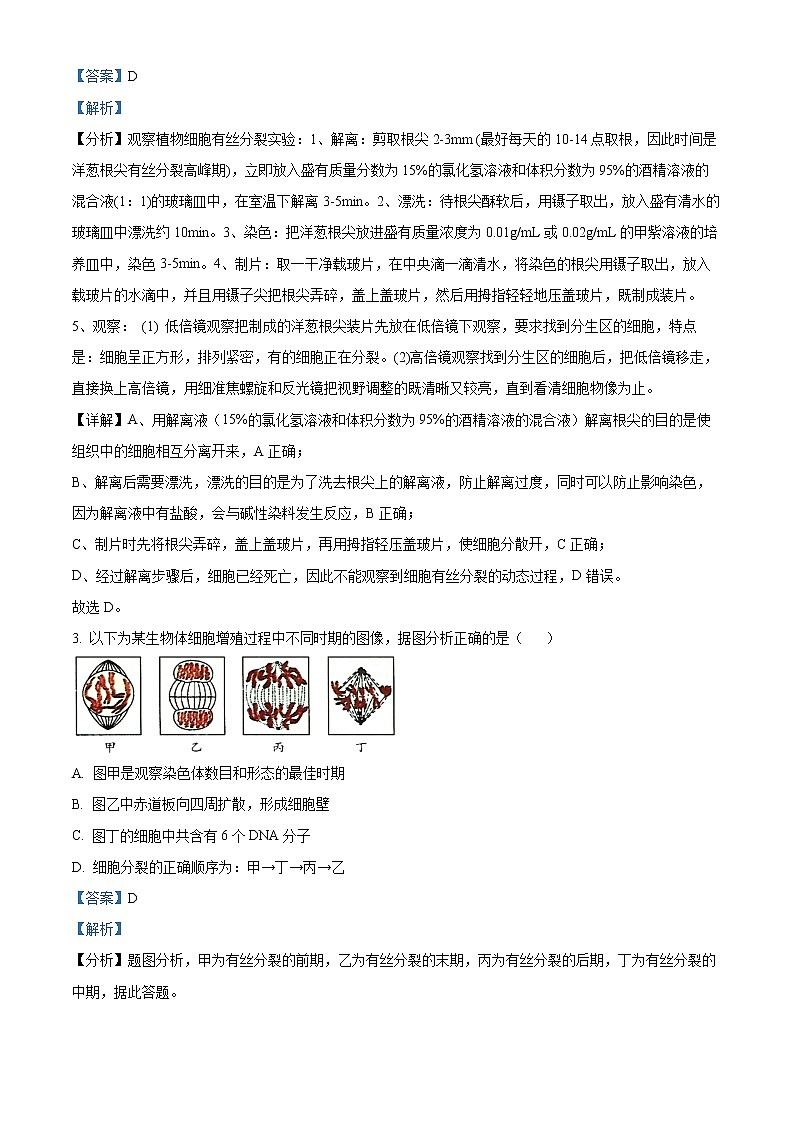 吉林省长春市十一高中2021-2022学年高一下学期第一学程考试生物（B）试题（解析版）第2页