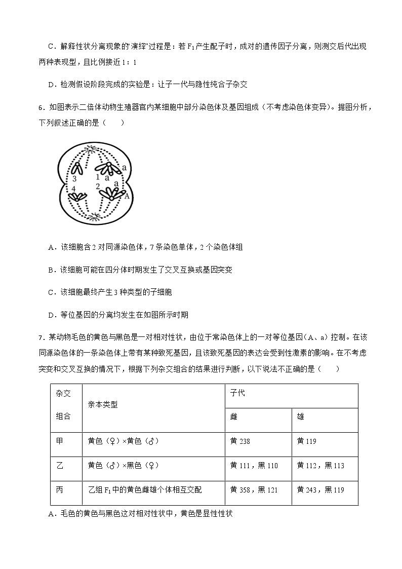 2022届辽宁省沈阳市二中郊联体高三下学期开学考试生物试卷含解析03