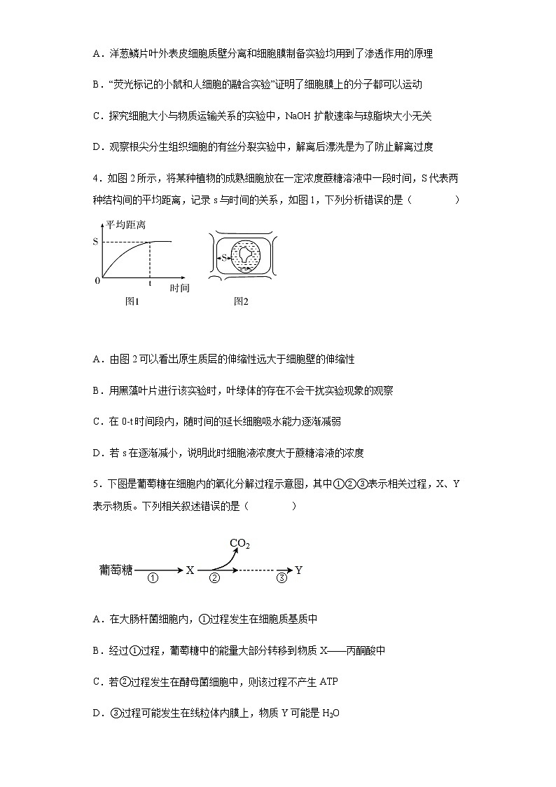 2021-2022学年河北省衡水市武强中学高三上学期第二次月考生物试题含解析02