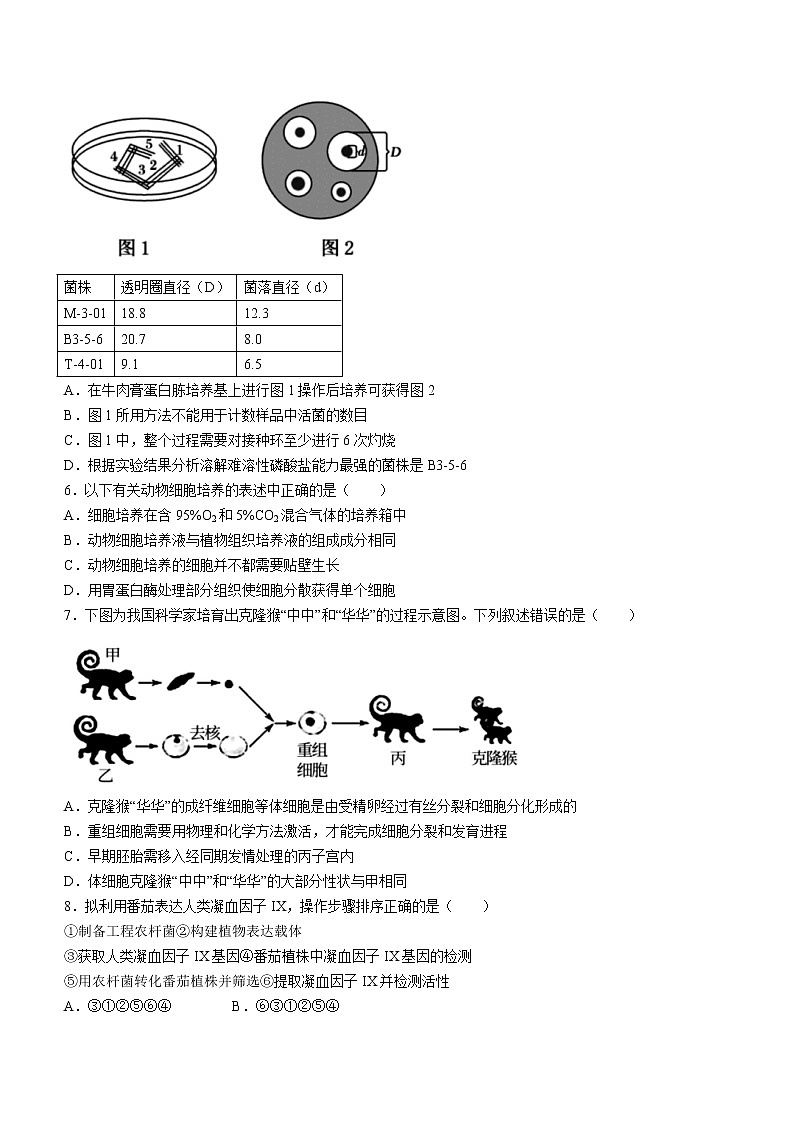2021-2022学年天津市静海一中等五校联考高二下学期期中生物试题含答案02