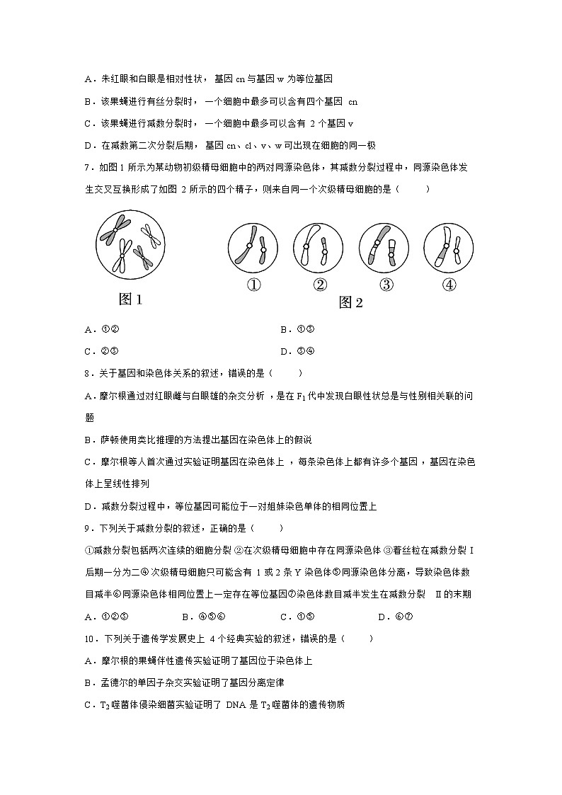 2021-2022学年山东省新泰市第一中学高一下学期期中考试生物试卷含答案03
