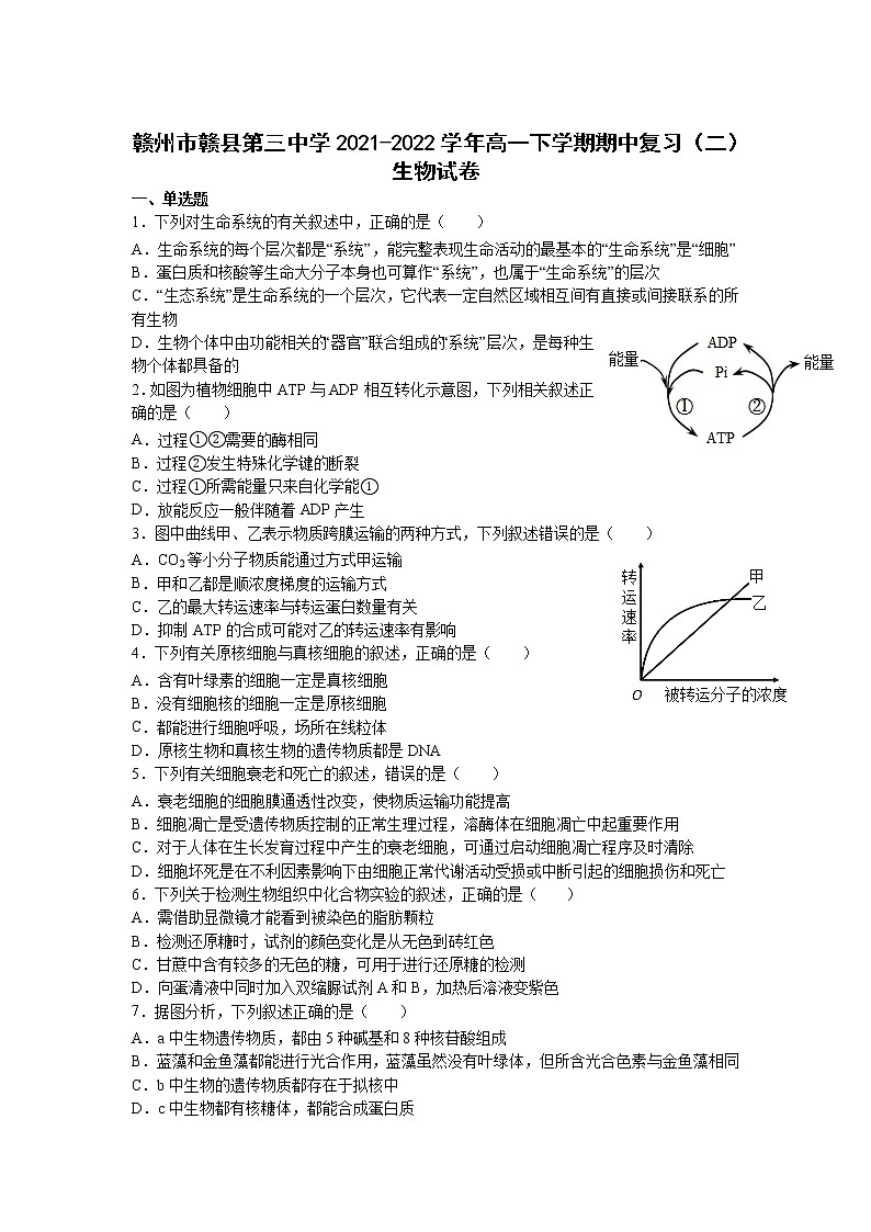 2021-2022学年江西省赣州市赣县第三中学高一下学期期中复习（二）生物试卷含答案01