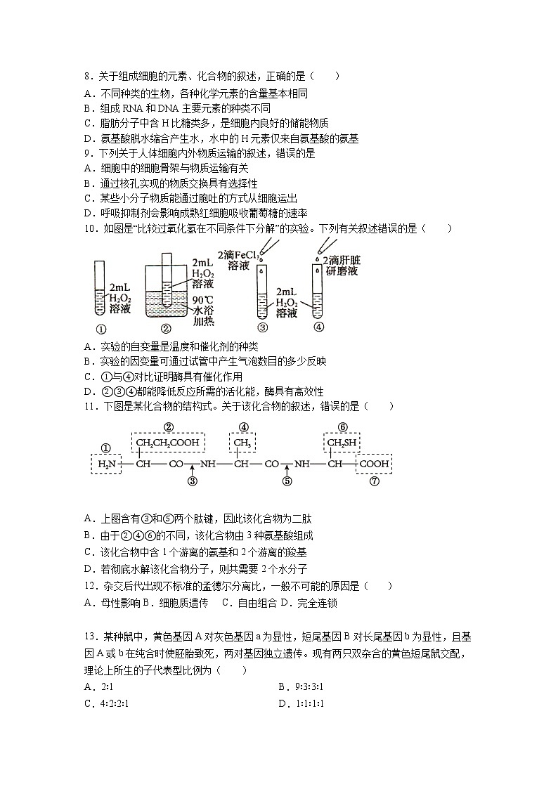 2021-2022学年江西省赣州市赣县第三中学高一下学期期中复习（二）生物试卷含答案02