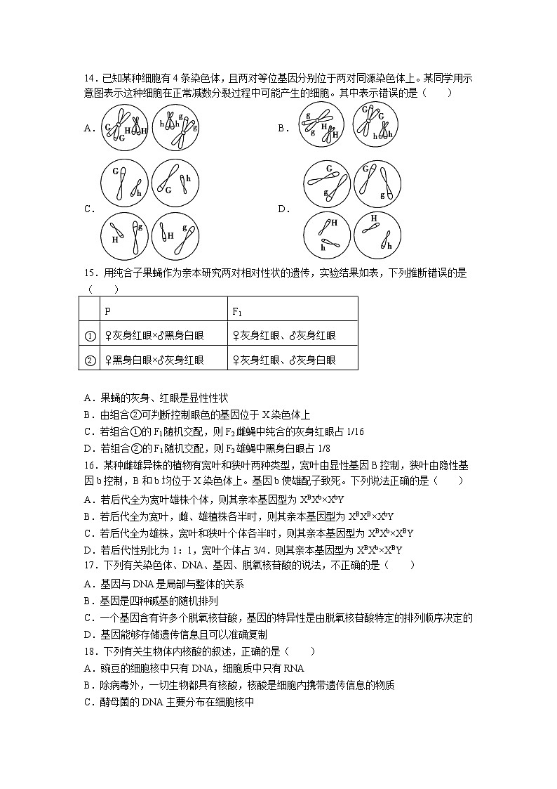 2021-2022学年江西省赣州市赣县第三中学高一下学期期中复习（二）生物试卷含答案03