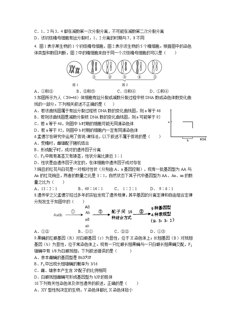 2021-2022学年江苏省高邮市临泽中学高一下学期期中学情调研测试生物试卷含答案02