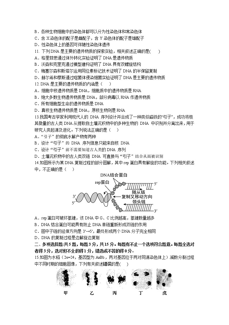 2021-2022学年江苏省高邮市临泽中学高一下学期期中学情调研测试生物试卷含答案03