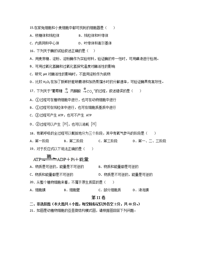 2021-2022学年西藏林芝市第二高级中学高一下学期第一学段考试（期中）生物试卷含答案第3页
