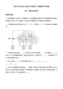 2021-2022学年上海市建平中学高一下学期期中生物试题含解析