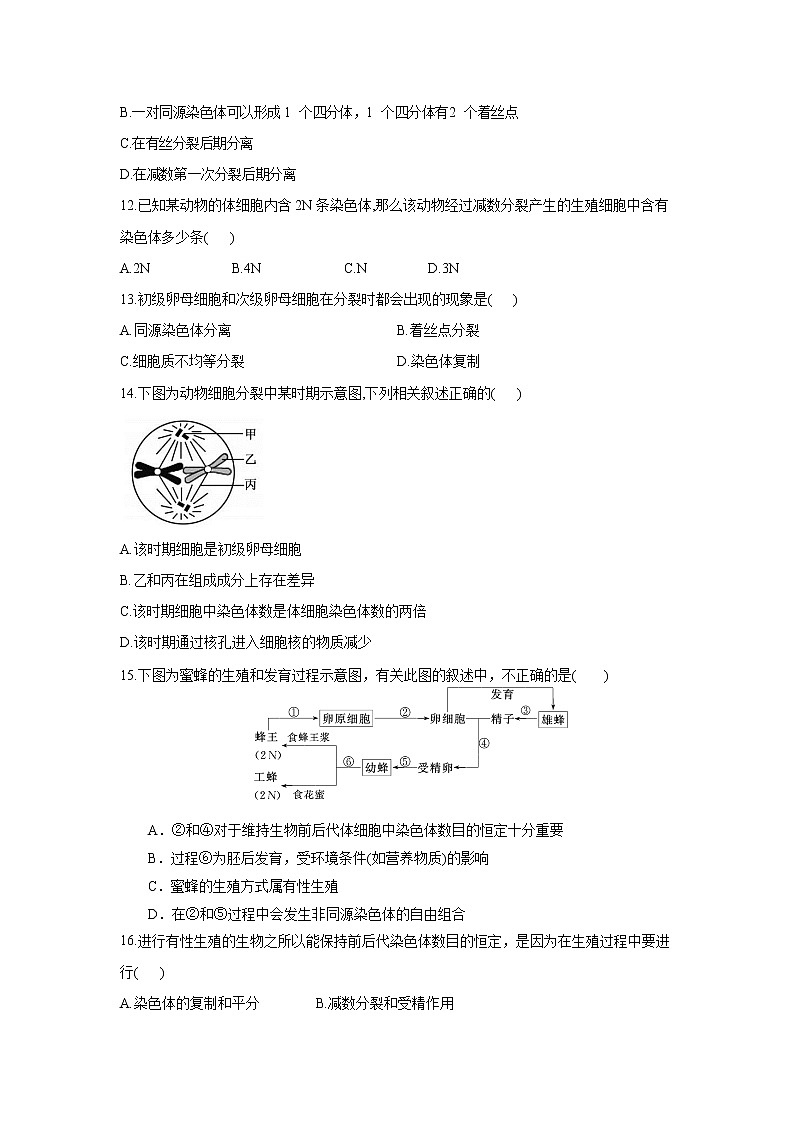 2021-2022学年陕西省渭南市尚德中学高一下学期第一次月考生物试卷含答案第3页